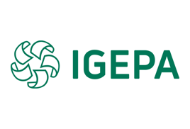 Immagine per il produttore Igepa Group