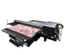 Immagine di Mimaki  JFX600 Series