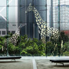 Immagine di Mactac MACal Glass Decor 700